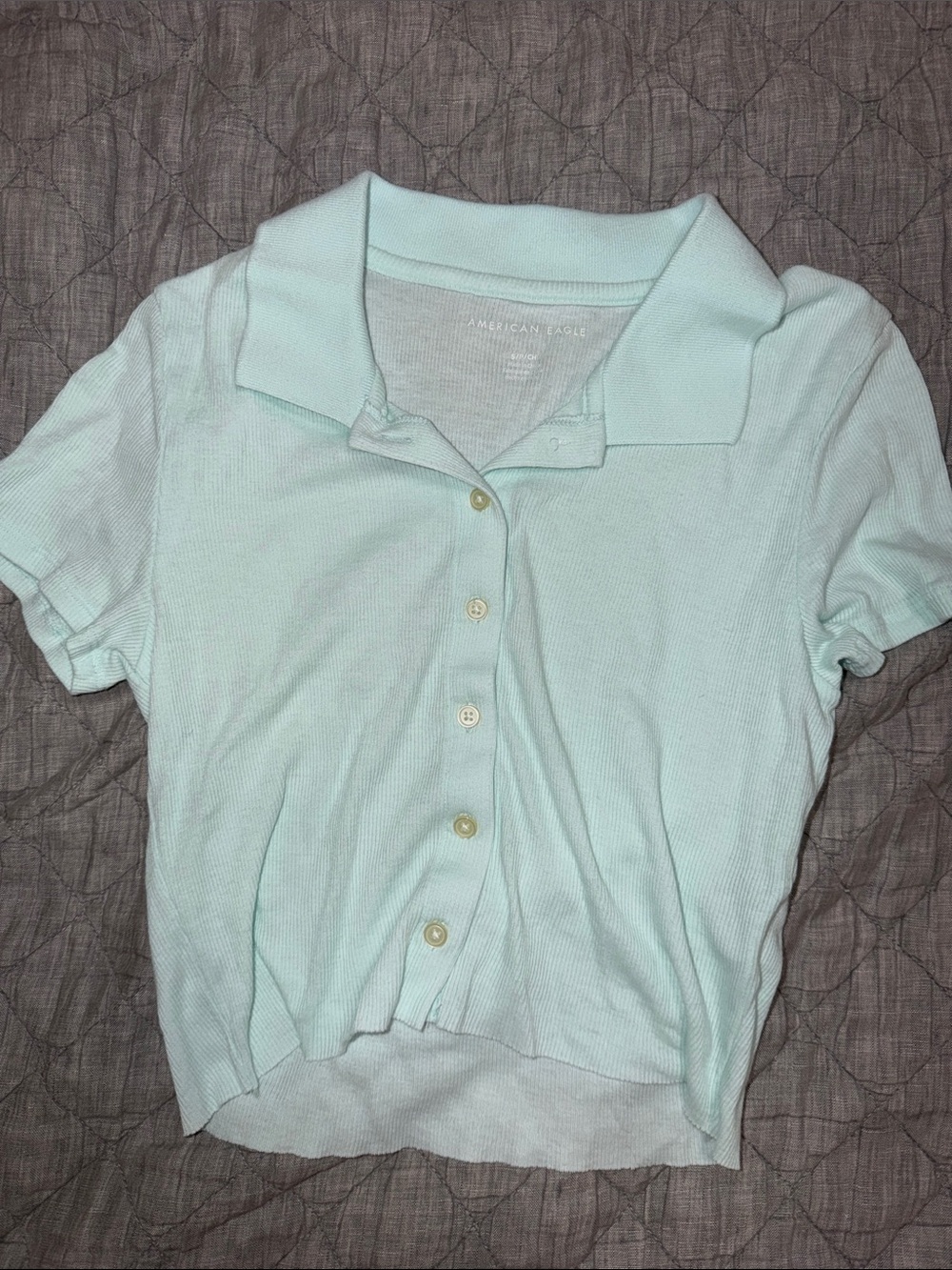 American Eagle Outfitters Light Mint Green Polo crop top